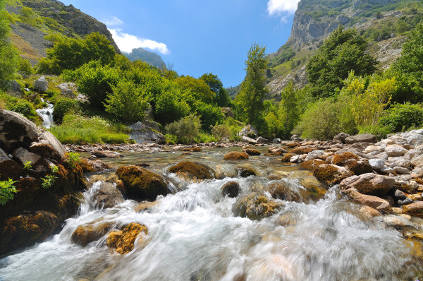 http://www.dreamstime.com/royalty-free-stock-images-landscape-mountain-river-image15547489