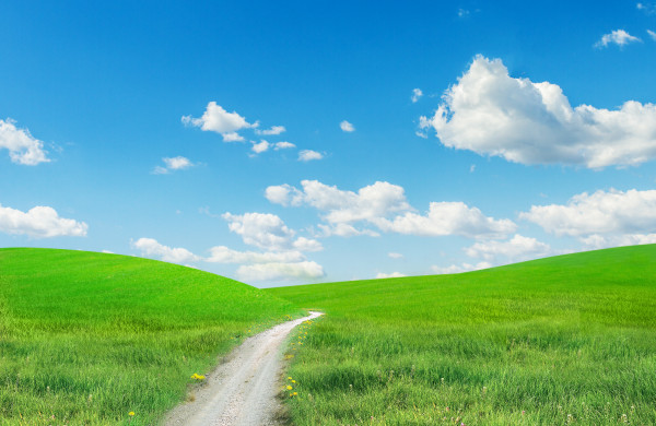 http://www.dreamstime.com/stock-image-landscape-road-image28440581