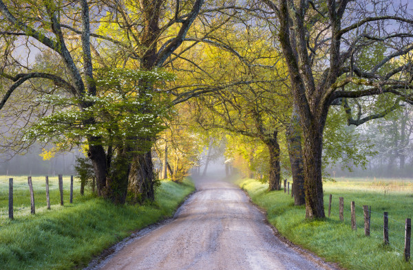 http://www.dreamstime.com/royalty-free-stock-images-cades-cove-great-smoky-mountains-national-park-scenic-landscape-spring-photography-sparks-lane-image30789439