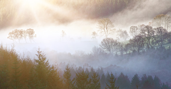 http://www.dreamstime.com/royalty-free-stock-photo-morning-landscape-beautiful-layers-mist-over-trees-image39441825